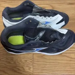 ミズノ卓球シューズウェーブメダル7