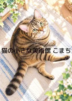 〈一枚限りの作品〉午後の光にくつろぐキジトラ猫