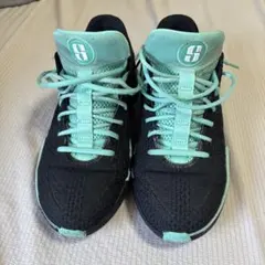 Nike バスケットボールシューズ サブリナ1 ブラック/ミント