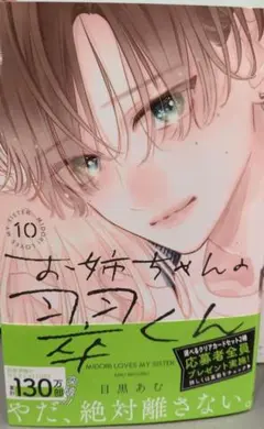 【新品・美品・シュリンク・応募はがきつき】お姉ちゃんの翠くん 10巻 目黒あむ