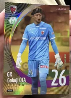 Item thumbnail for item 442c2b69-d297-4059-8463-b161bc739f76