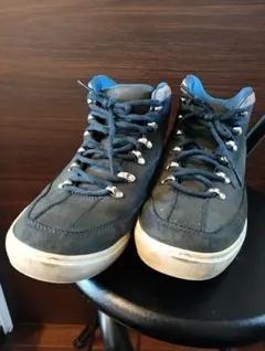 Item thumbnail for item 7b1dfda3-601e-41ab-a2b0-a245ffc9841d