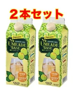 KALDI 梅シロップベース 2本セット 1Lのサムネイル