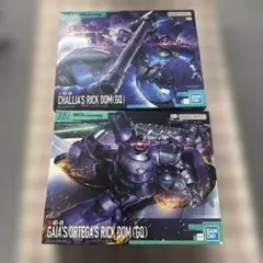 新品】 HG レジェンドガンダム グスタフ・カール00型 リック・ドム