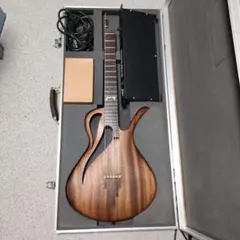 Padalka guitars Neptune Koa - メルカリ