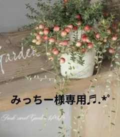 みっちー様専用ページです♬.*゜