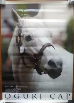 JRA ヒーロー列伝 オグリキャップ OGURICAP 来場ポイント ポスター