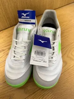 モレリア sala 26.5