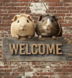 モルモット　看板　木材