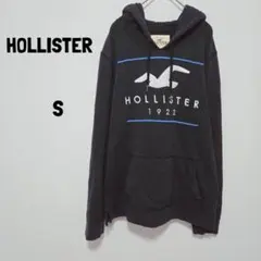 HOLLISTER/プルオーバーパーカー/フード/パーカー/ロゴデザイン/古着