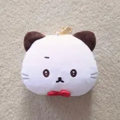 いしつよちゃん　ぬいぐるみ　パスケース