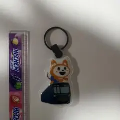 相鉄線 そうにゃん LEDライト