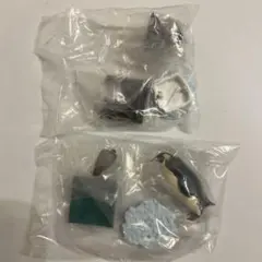 NATURE　TECHNI　COLOUR　南極　特装版　 2種　ガチャ
