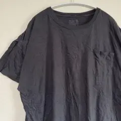 一点物◆フルーツオブザルーム 半袖 ポケットTシャツ 無地 ビッグサイズ 黒 綿のサムネイル