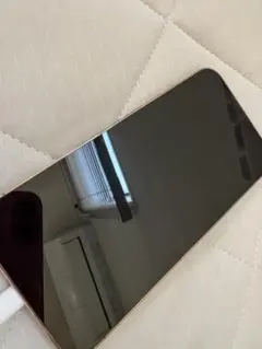 256GB iPhone13プロ