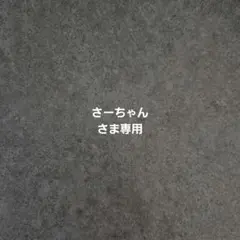 さーちゃんさま専用