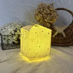 Item thumbnail for item f97ee854-aec1-4156-89de-5aa62b6f5d02