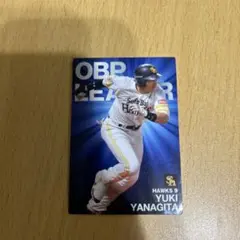プロ野球 トレーディングカードセット