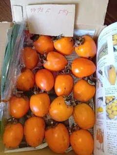 商品No.73 干し柿作り用愛宕柿 Sサイズ36個 ５kg