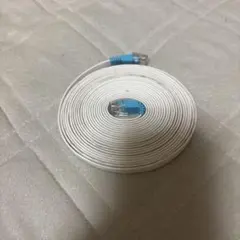LANケーブル フラットタイプ ホワイト