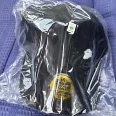 ぽこあポケモン　エディオン限定CAPメタモン　帽子　Pokopia