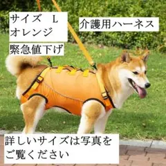 犬用介護ハーネス　歩行補助　サイズＬ　オレンジのサムネイル