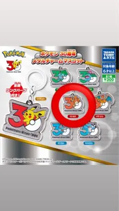 【新品未使用】ポケモン 30周年 メタルチャームマスコット ヒトカゲ
