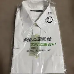 Item thumbnail for item 3cb9ed48-9220-4f4d-98e1-f738e410dd75