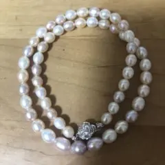 Item thumbnail for item 25458d95-b56a-4db2-8f65-15c7ca8a2263