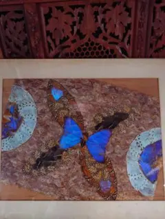 蝶 標本 アートパネル 額装