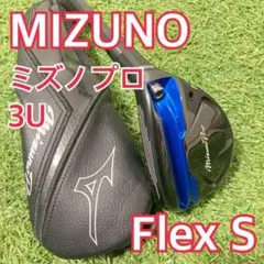 Item thumbnail for item b4438d3d-7fe4-483c-bae4-ec120d8ce69a