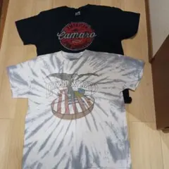 Item thumbnail for item 96608c62-1f0b-452d-8624-2971a391a5a1