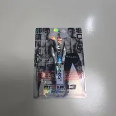 激レア RIZIN28那須川天心サイン 対戦選手ポスター 2025年最新】那須川天心 ポスターの人気アイテム - メルカリ