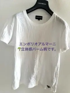2026年最新】アルマーニ tシャツ sの人気アイテム - メルカリ