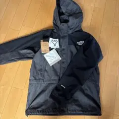 （ダウン込み）THE NORTH FACE マウンテンライトジャケット L