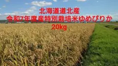 北海道道北産 令和7年度産 特別栽培米ゆめぴりか10×2 20kgのサムネイル