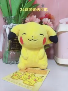 マイピカチュウ　ぬいぐるみのサムネイル