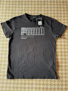 PUMA DRYCELL Tシャツ 160サイズ