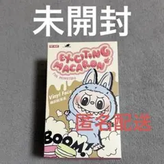 【未開封】ラブブ マカロン LABUBU EXCITING MACARON