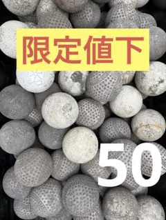 Item thumbnail for item 486ec092-7133-4c1d-afcf-038e999141a3