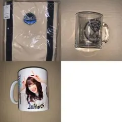 オリックスバファローズ　bsgirlsグッズ