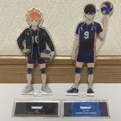 ハイキュー!! Ani-Art BIGアクリルスタンド 2種セット 日向 影山