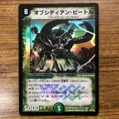 10024 オブシディアンビートル 1枚