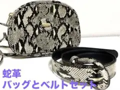 【希少❣️美品】蛇革 パイソンレザー ショルダーバッグ＆ベルト セット