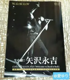 ⚜️矢沢永吉♦WOWOW2023年12月号⭐スーパーマリオブラザーズ・ムービー