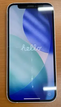 寺*田様 動作確認済み iPhone 12 mini 64GB ID:E2666