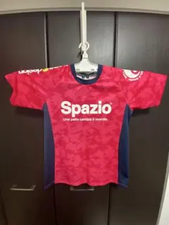 Item thumbnail for item 825ecdda-ade9-4486-95f6-da817956de48