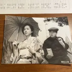 佐久間良子図々しい奴 東映プレスシート