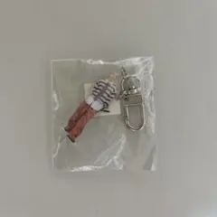 SEVENTEEN セブチ ホシ HOLIDAY ガチャ アクキー