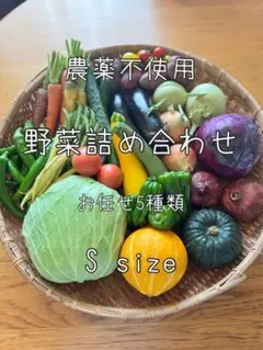 60size 農薬不使用 野菜セット 野菜詰め合わせのサムネイル